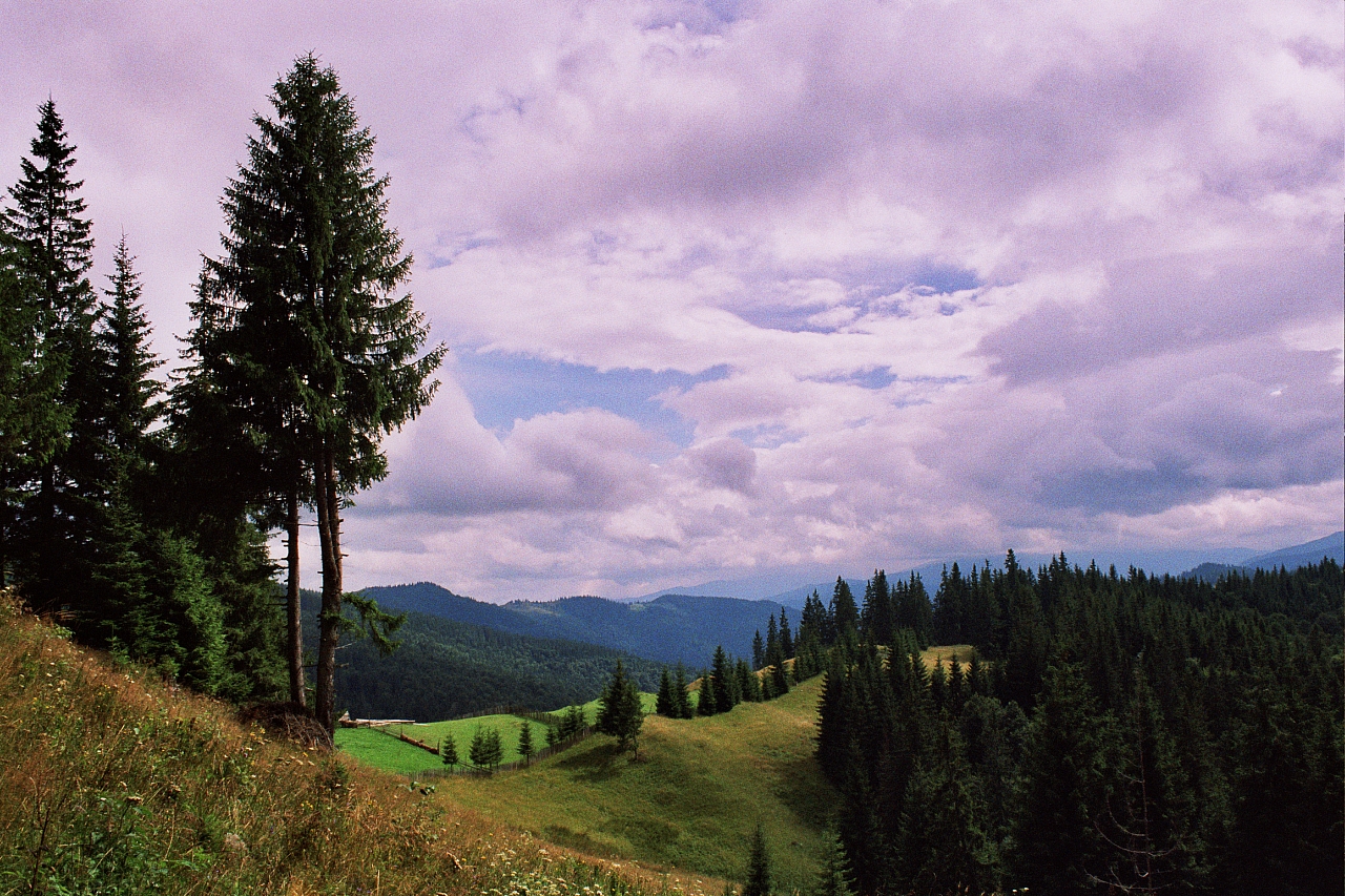 © R.Thiel
Impressionen aus den Bistritz-Bergen
August 2002
Rumänienfotos