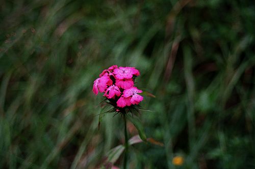 Foto:  ©