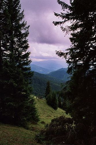 Foto:  ©