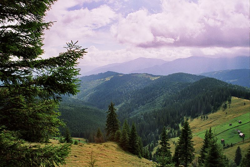 Foto:  ©