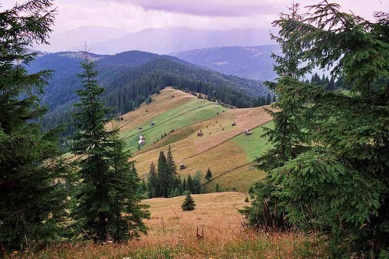 Foto:  ©