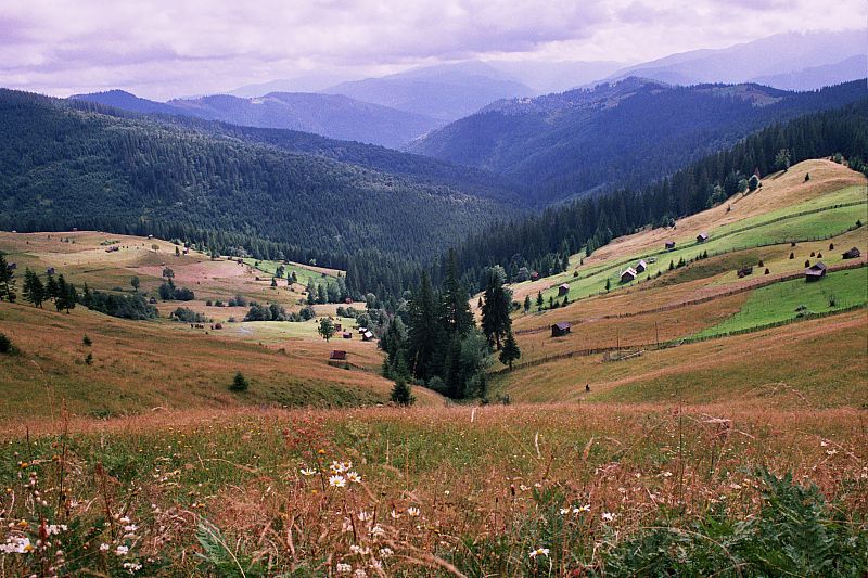 Foto:  ©
