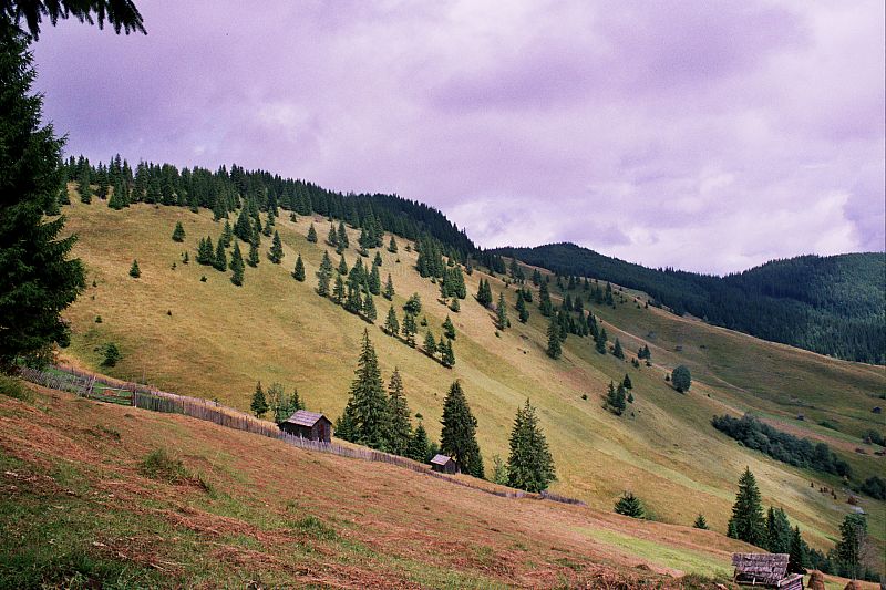 Foto:  ©