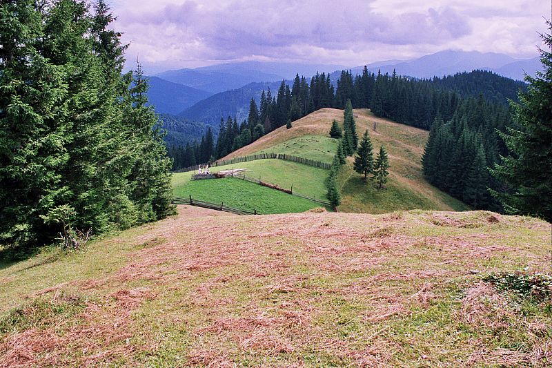 Foto:  ©