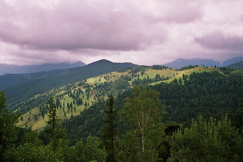 Foto:  ©