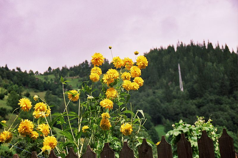 Foto:  ©