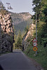Foto: Rennkuckuck ©