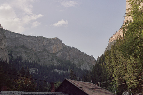 Foto: Rennkuckuck ©