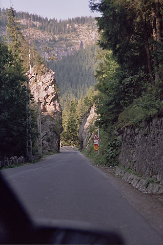 Foto: Rennkuckuck ©
