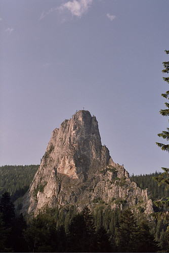 Foto: Rennkuckuck ©