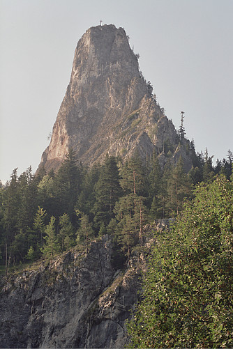 Foto: Rennkuckuck ©