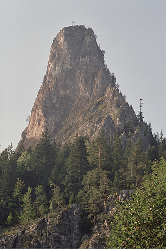 Foto: Rennkuckuck ©