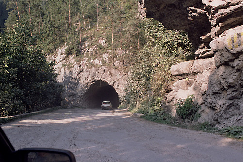 Foto: Rennkuckuck ©