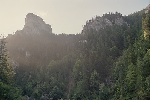 Foto: Rennkuckuck ©