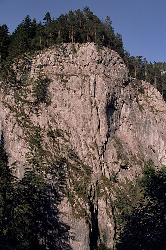 Foto: Rennkuckuck ©
