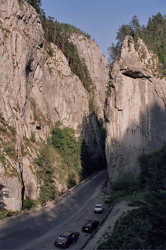 Foto: Rennkuckuck ©