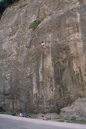 Foto: Rennkuckuck ©