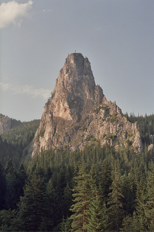Foto: Rennkuckuck ©