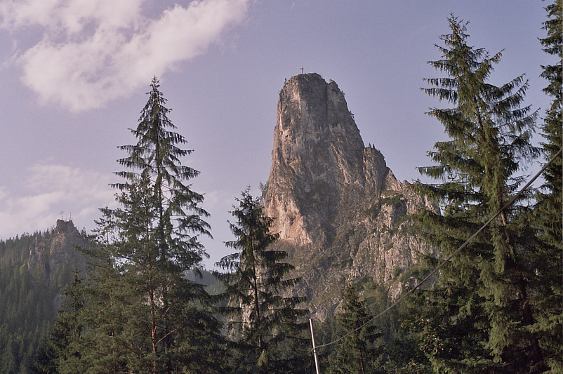 Foto: Rennkuckuck ©