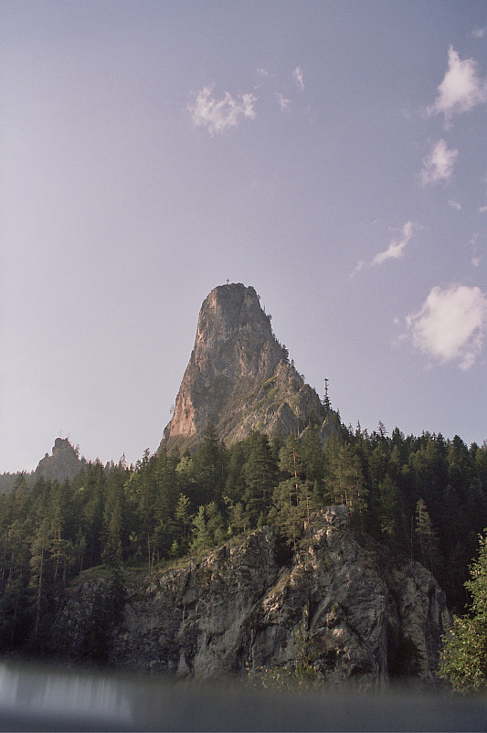 Foto: Rennkuckuck ©