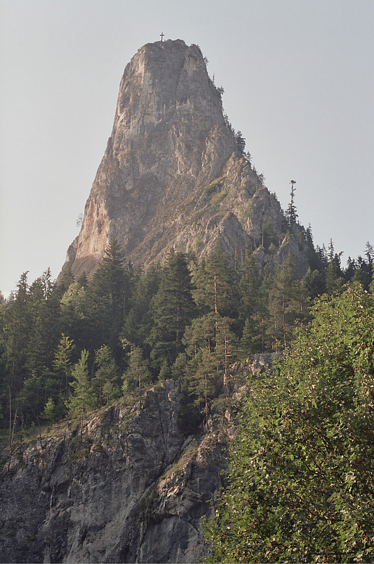 Foto: Rennkuckuck ©