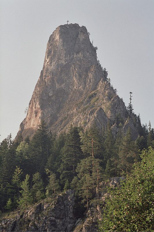 Foto: Rennkuckuck ©