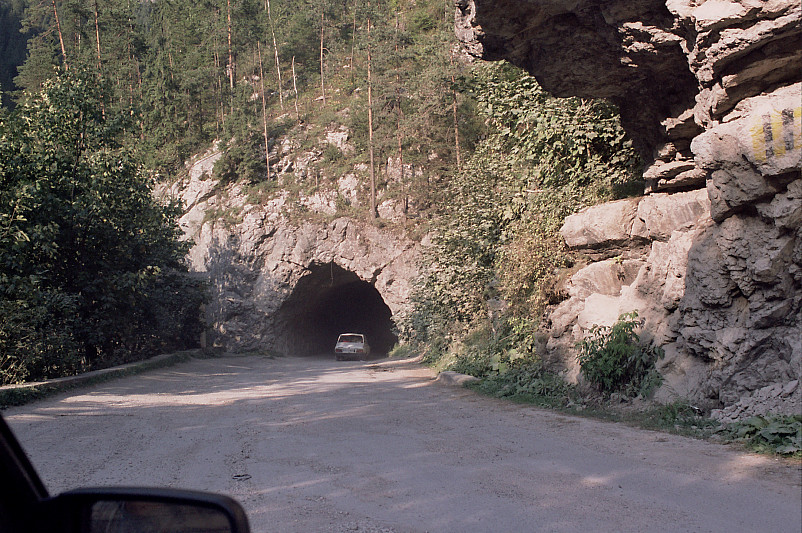 Foto: Rennkuckuck ©