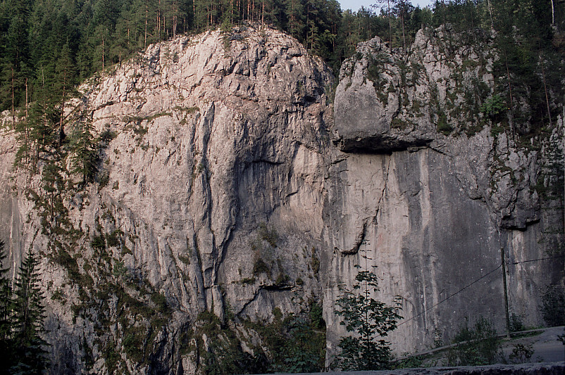 Foto: Rennkuckuck ©