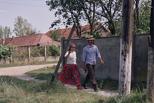 Foto: Rennkuckuck ©