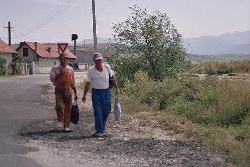 Foto: Rennkuckuck ©