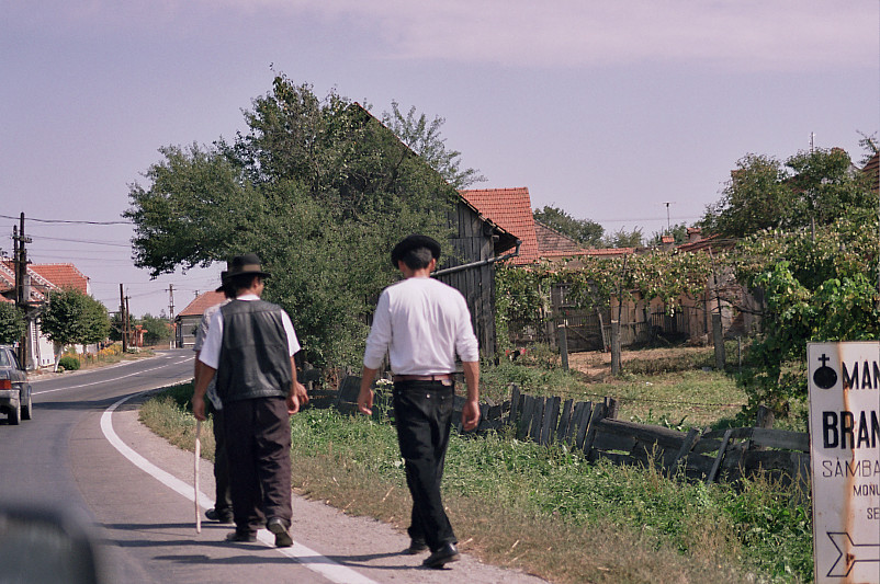 Foto: Rennkuckuck ©