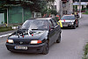 Foto: Rennkuckuck ©