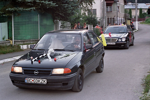 Foto: Rennkuckuck ©