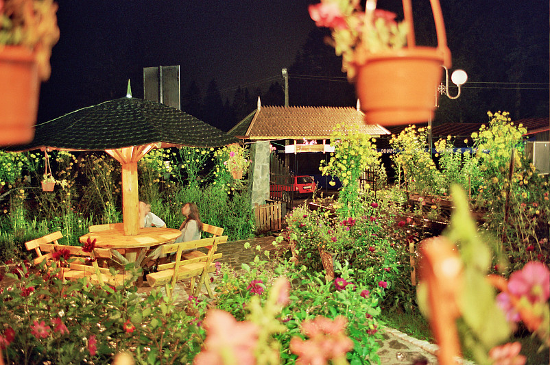 Foto: Rennkuckuck ©