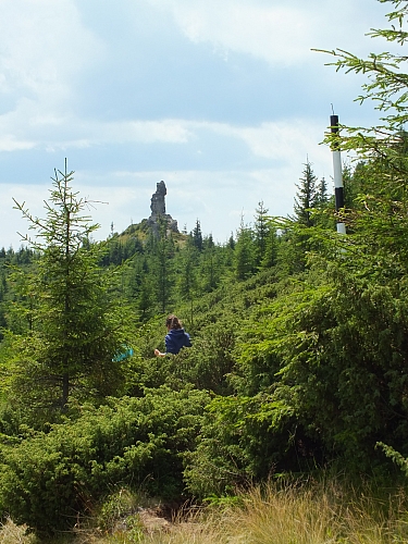 &copy; R.Thiel
09.08.2012 12:58:10
Munții Călimani (09.08.2012)
Rumänien 2012
Rumänienfotos