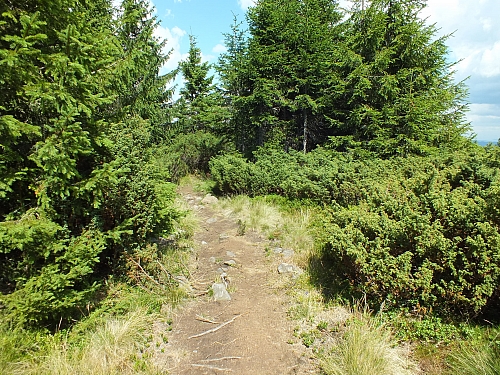 &copy; R.Thiel
09.08.2012 13:58:10
Munții Călimani (09.08.2012)
Rumänien 2012
Rumänienfotos