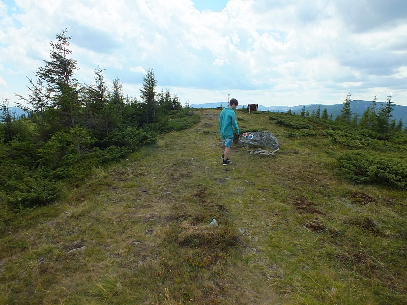 &copy; R.Thiel
09.08.2012 13:06:18
Munții Călimani (09.08.2012)
Rumänien 2012
Rumänienfotos