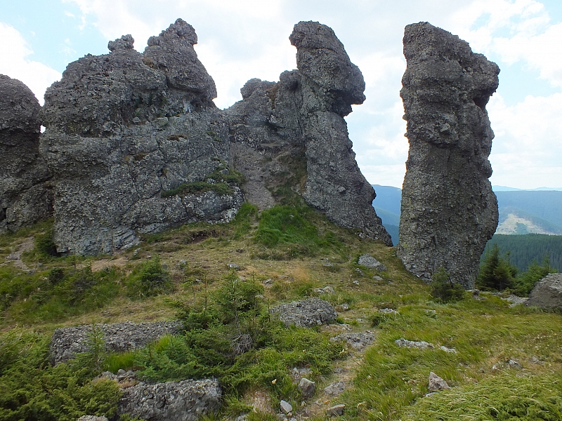 &copy; R.Thiel
09.08.2012 13:29:56
Munții Călimani (09.08.2012)
Rumänien 2012
Rumänienfotos