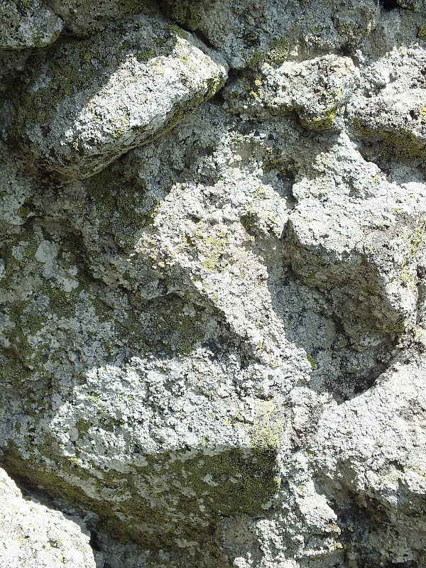 &copy; R.Thiel
09.08.2012 13:33:16
Munții Călimani (09.08.2012)
Rumänien 2012
Rumänienfotos