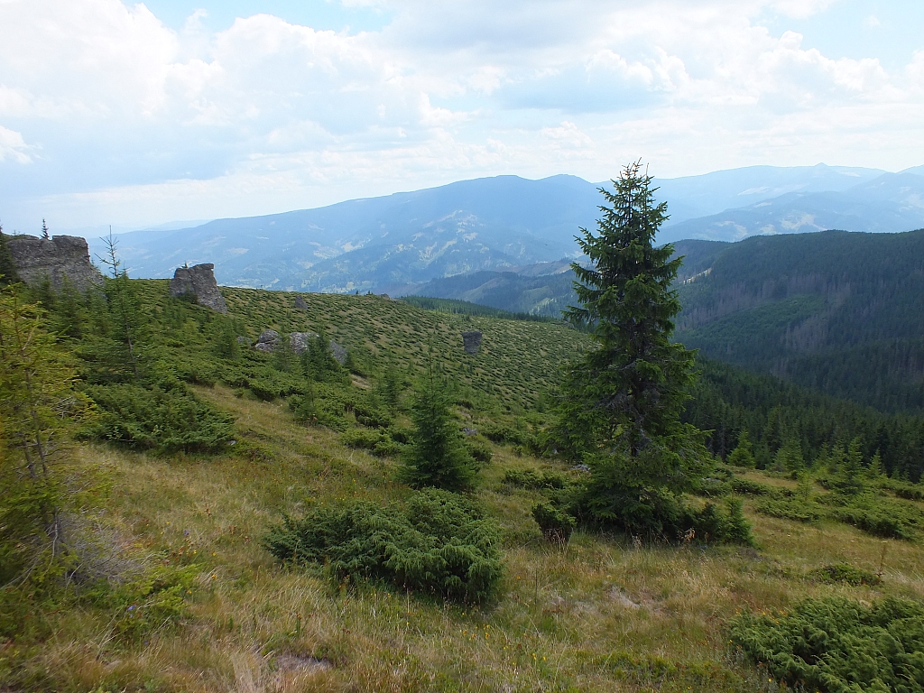 &copy; R.Thiel
09.08.2012 12:35:38
Munții Călimani (09.08.2012)
Rumänien 2012
Rumänienfotos