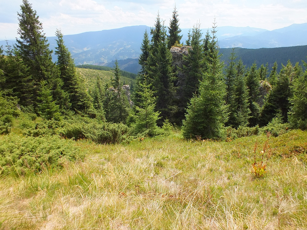 &copy; R.Thiel
09.08.2012 12:38:57
Munții Călimani (09.08.2012)
Rumänien 2012
Rumänienfotos