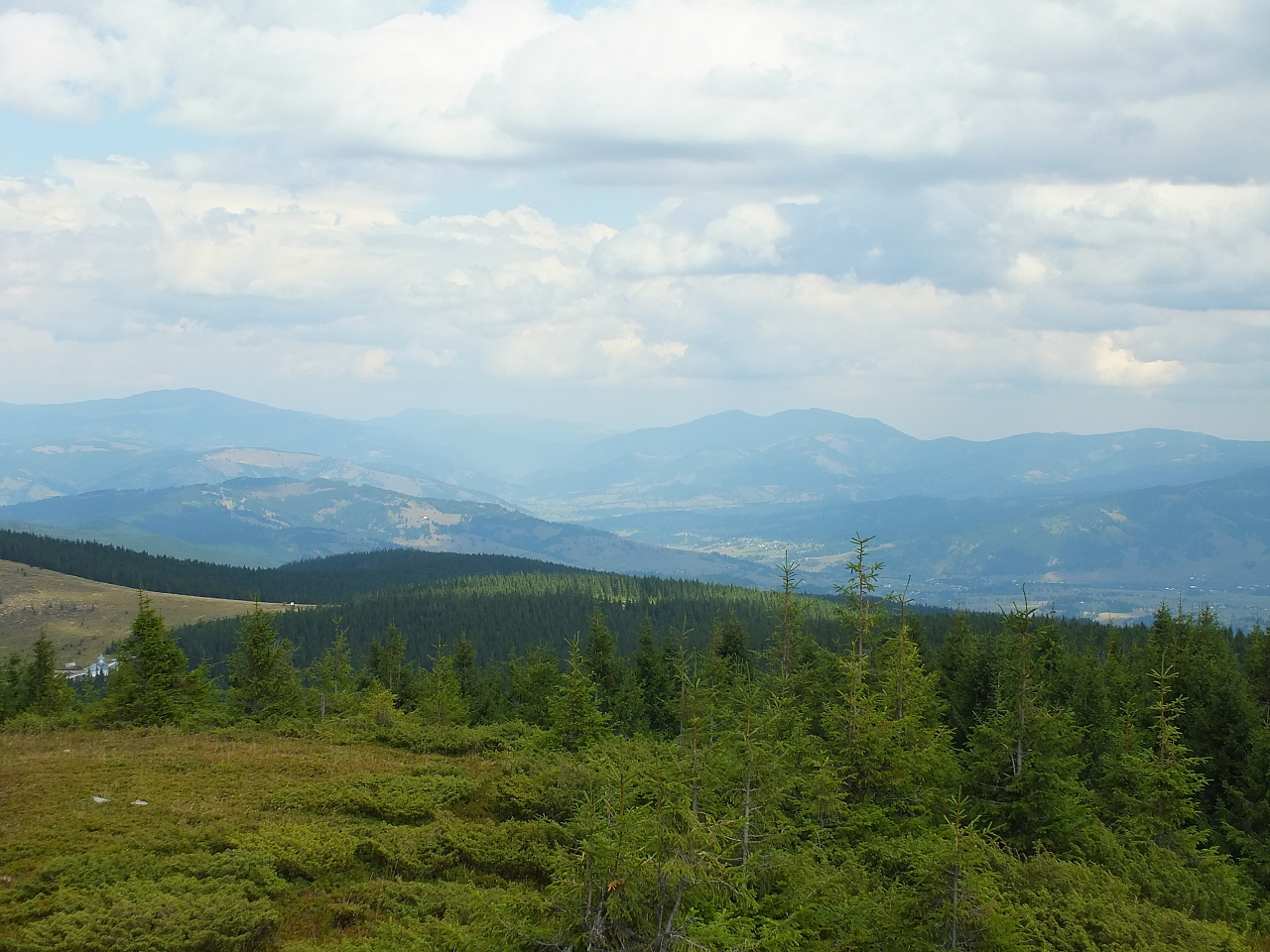 &copy; R.Thiel
09.08.2012 12:26:32
Munții Călimani (09.08.2012)
Rumänien 2012
Rumänienfotos