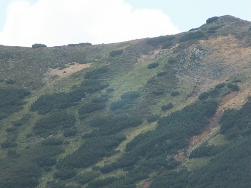 © R.Thiel
11.08.2012 13:30:12
Munții Călimani (11.08.2012)
Rumänien 2012
Rumänienfotos