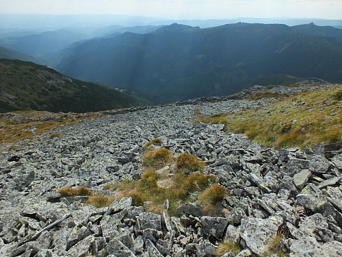 &copy; R.Thiel
11.08.2012 16:13:46
Munții Călimani (11.08.2012)
Rumänien 2012
Rumänienfotos