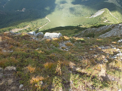 © R.Thiel
11.08.2012 17:00:29
Munții Călimani (11.08.2012)
Rumänien 2012
Rumänienfotos