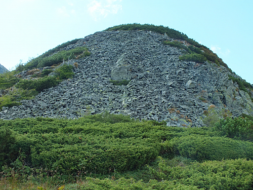 © R.Thiel
11.08.2012 17:31:11
Munții Călimani (11.08.2012)
Rumänien 2012
Rumänienfotos