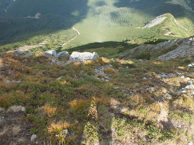 © R.Thiel
11.08.2012 17:00:29
Munții Călimani (11.08.2012)
Rumänien 2012
Rumänienfotos