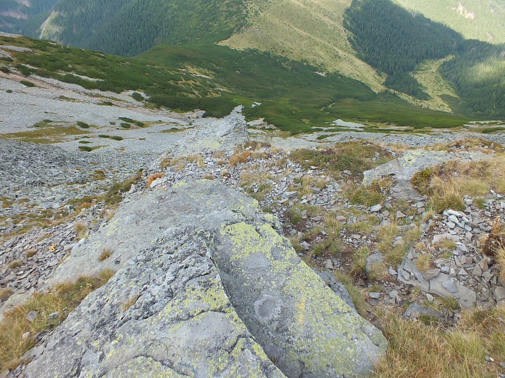 © R.Thiel
11.08.2012 16:21:20
Munții Călimani (11.08.2012)
Rumänien 2012
Rumänienfotos