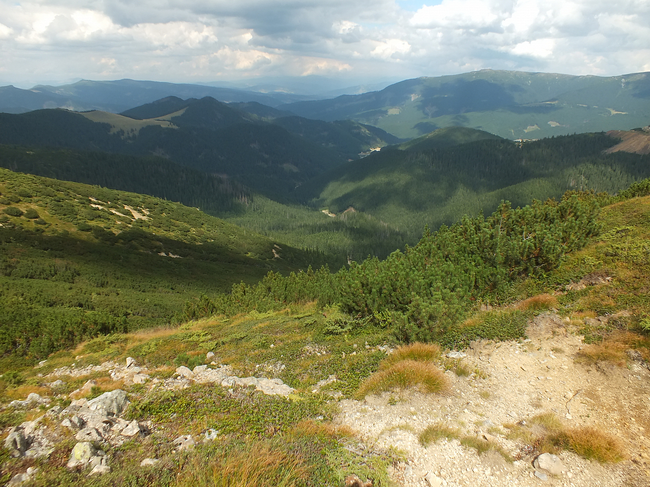 © R.Thiel
11.08.2012 14:56:59
Munții Călimani (11.08.2012)
Rumänien 2012
Rumänienfotos