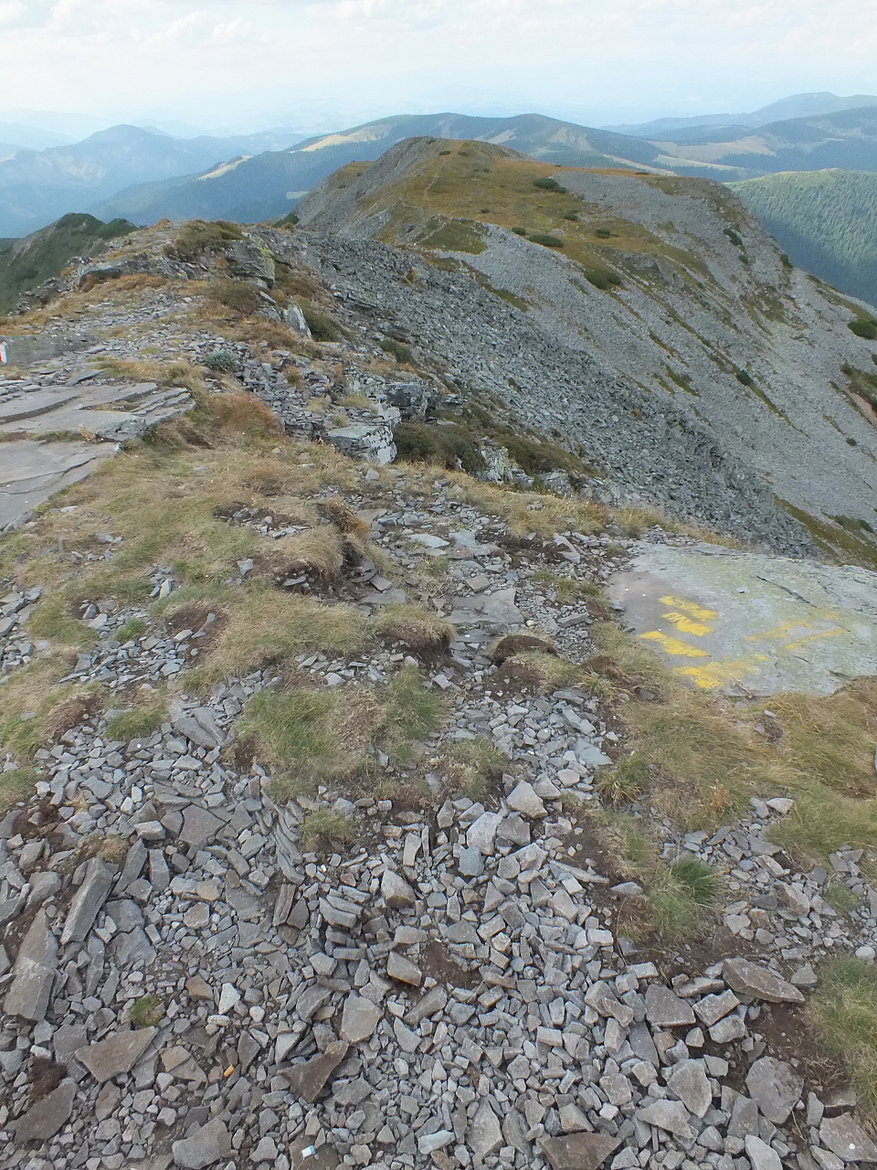 © R.Thiel
11.08.2012 16:20:56
Munții Călimani (11.08.2012)
Rumänien 2012
Rumänienfotos